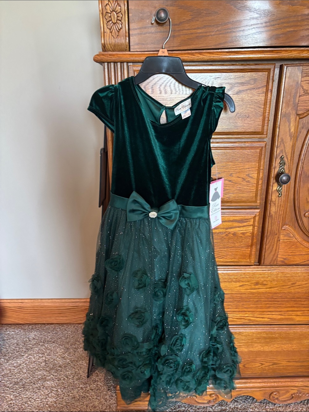 Rare Editions Girls Deep Emerald Velvet & Tulle Bow Party Dress